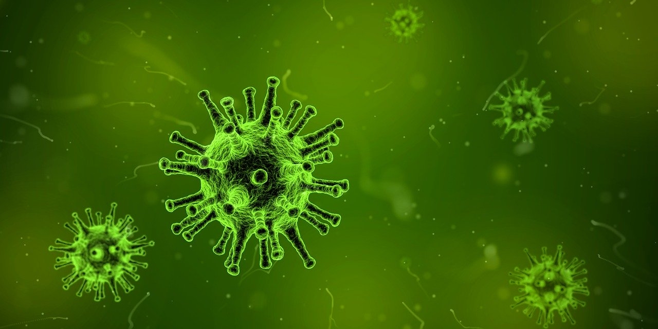 Virus Foto Arek Socha Pixabay virus-1812092_1280